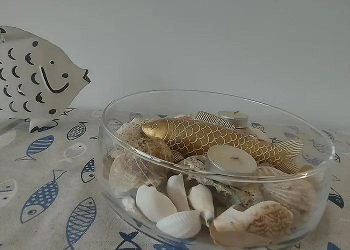 Santosha On The ポモリエ